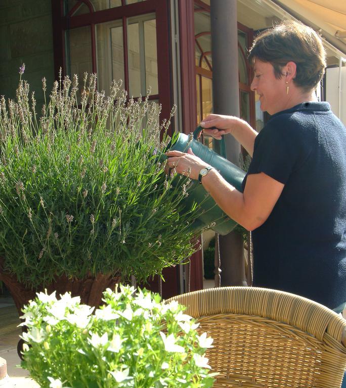 Hotel La Sabliere Kluisbergen Εξωτερικό φωτογραφία
